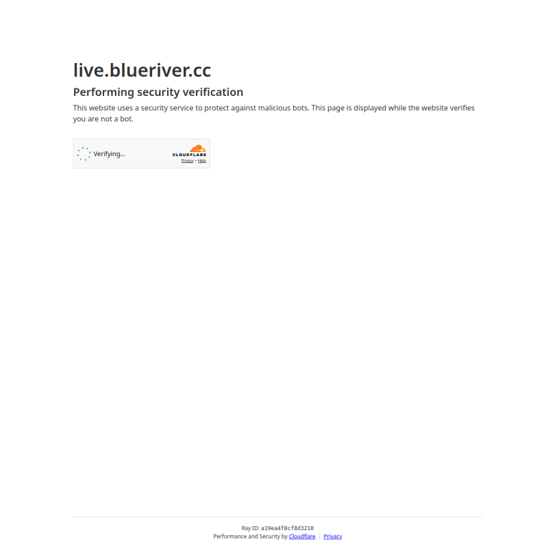 Live — live interface preview